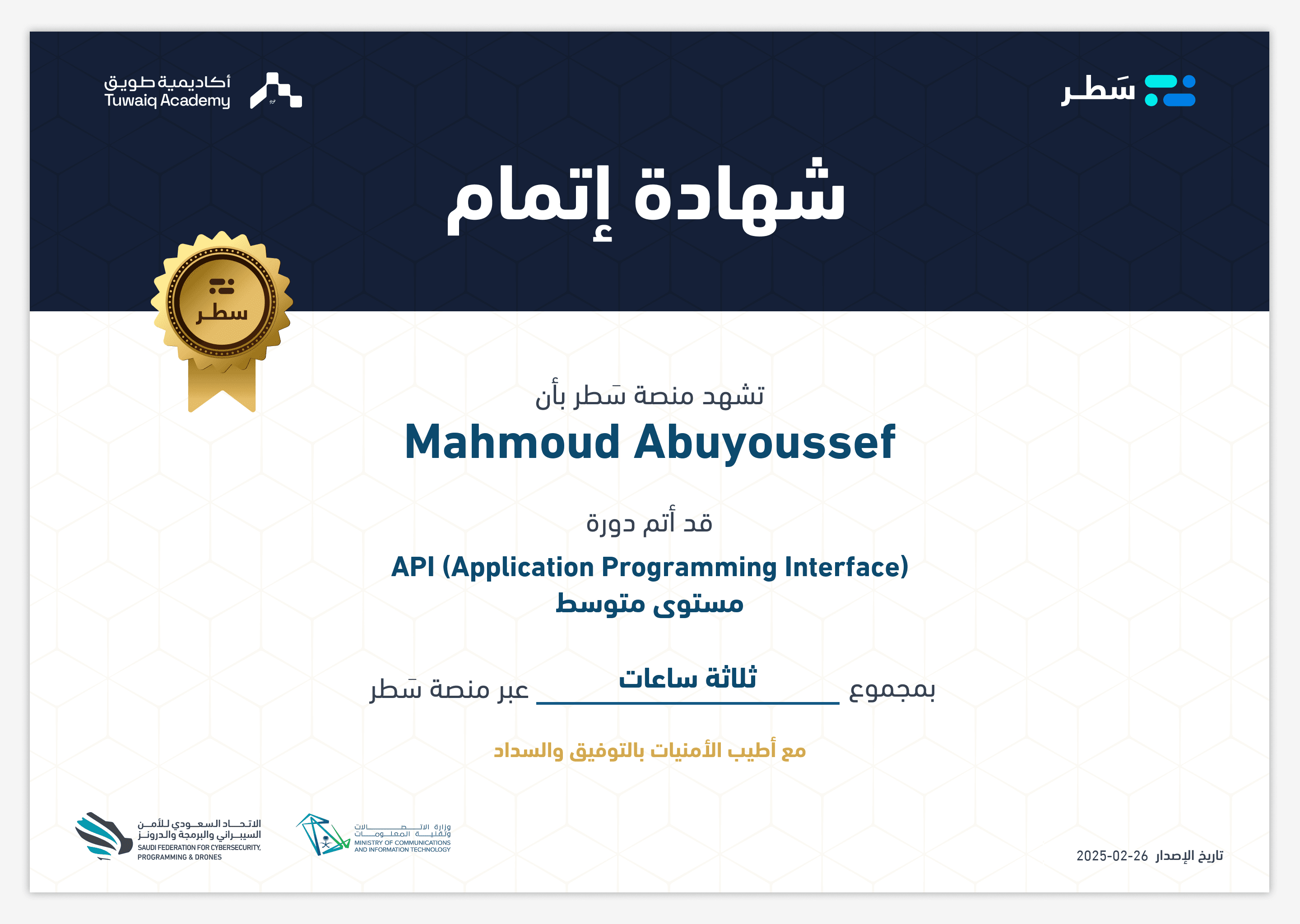 API (Application Programming Interface)